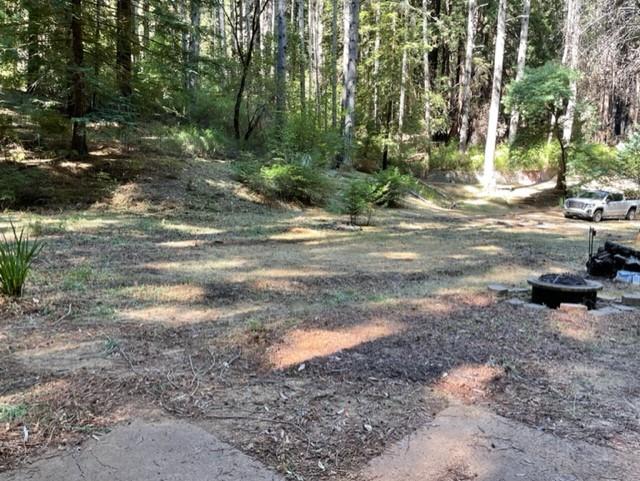 1 Felton Empire Road Felton, CA 95018 - Photo 3 of 11 a view of a yard with plants and trees