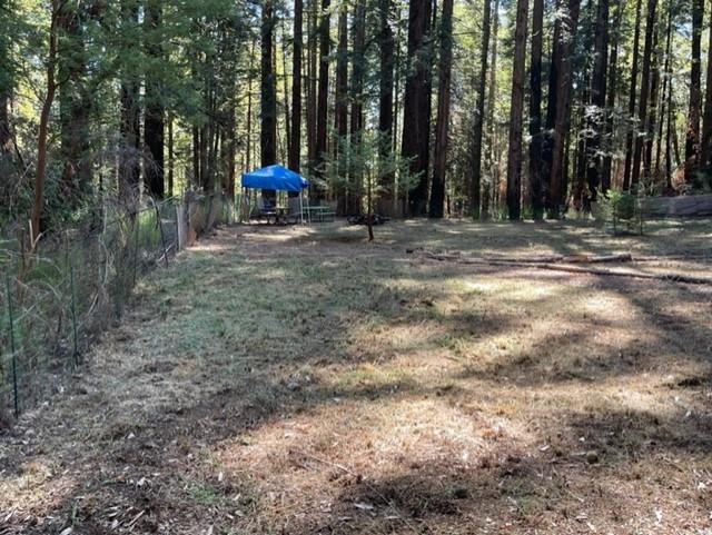 1 Felton Empire Road Felton, CA 95018 - Photo 4 of 11 a view of outdoor space with green space