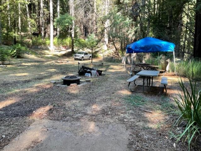 1 Felton Empire Road Felton, CA 95018 - Photo 5 of 11 a view of a table and chairs under an umbrella in backyard