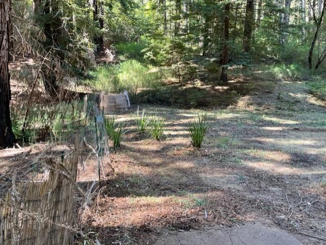 1 Felton Empire Road Felton, CA 95018 - Photo 6 of 11 a view of a yard with plants and large trees