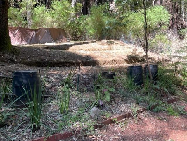 1 Felton Empire Road Felton, CA 95018 - Photo 9 of 11 a view of backyard with green space