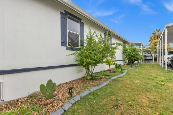 a view of backyard with garden