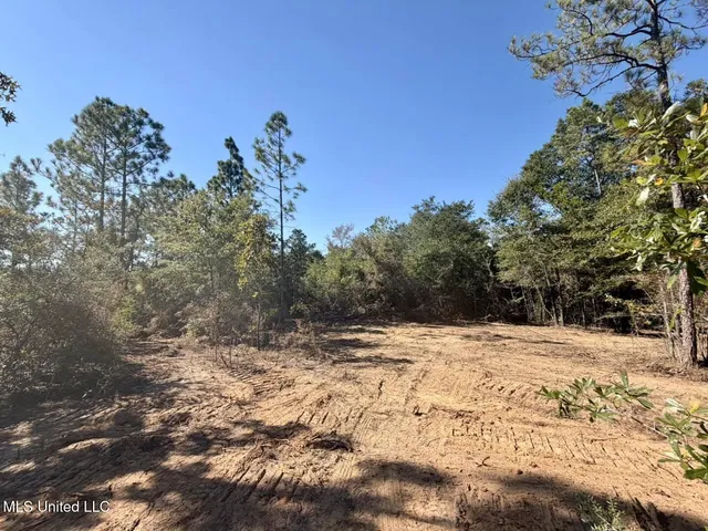 $50,000 | 7.88-acres Man Moulds Road, Lucedale, MS 39452