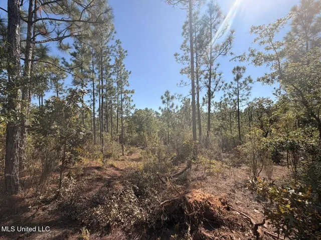 $50,000 | 7.88-acres Man Moulds Road, Lucedale, MS 39452