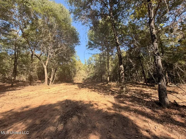 $50,000 | 7.88-acres Man Moulds Road, Lucedale, MS 39452