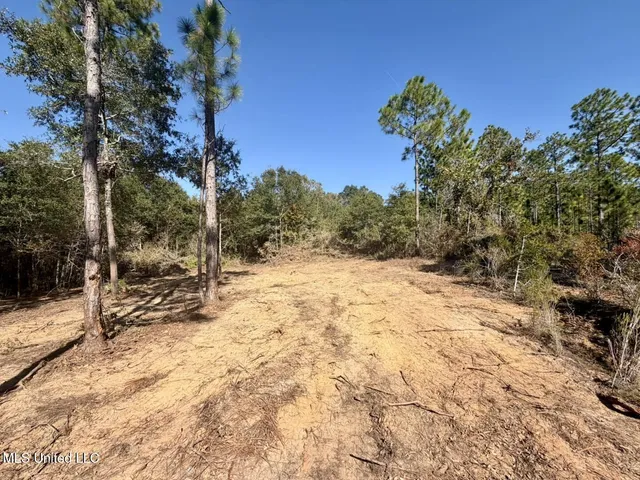 $50,000 | 7.88-acres Man Moulds Road, Lucedale, MS 39452