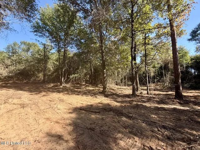 $50,000 | 7.88-acres Man Moulds Road, Lucedale, MS 39452