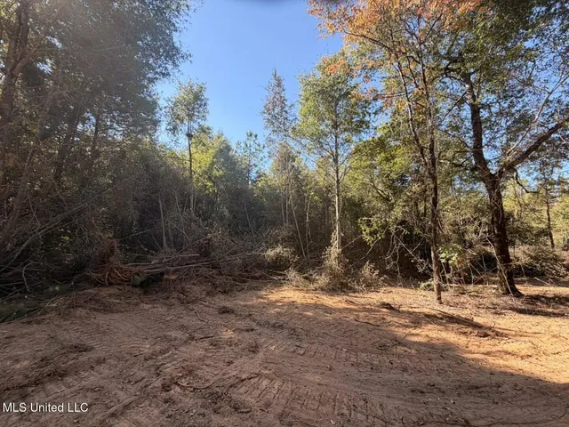 $50,000 | 7.88-acres Man Moulds Road, Lucedale, MS 39452
