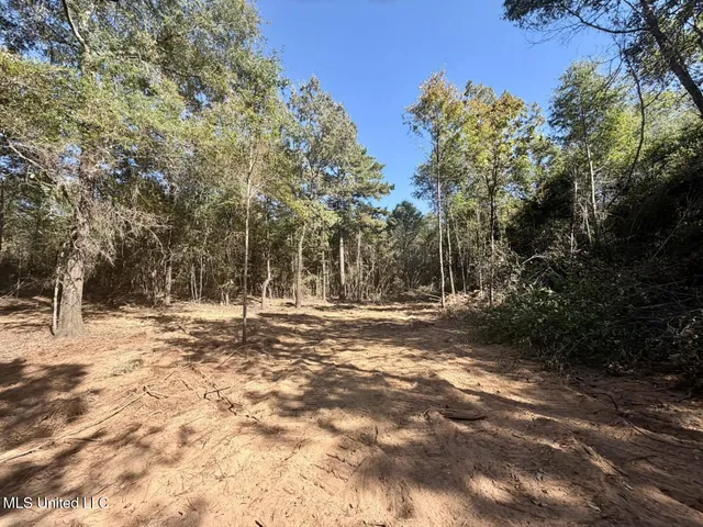 $50,000 | 7.88-acres Man Moulds Road, Lucedale, MS 39452