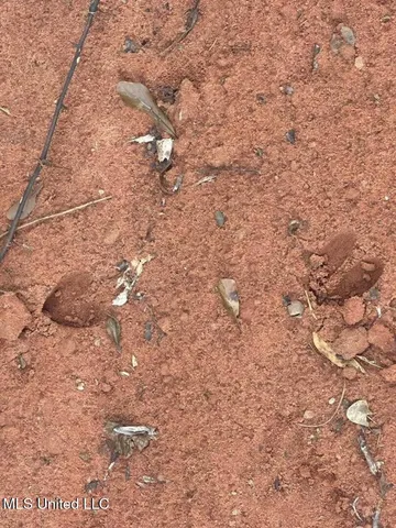 $50,000 | 7.88-acres Man Moulds Road, Lucedale, MS 39452