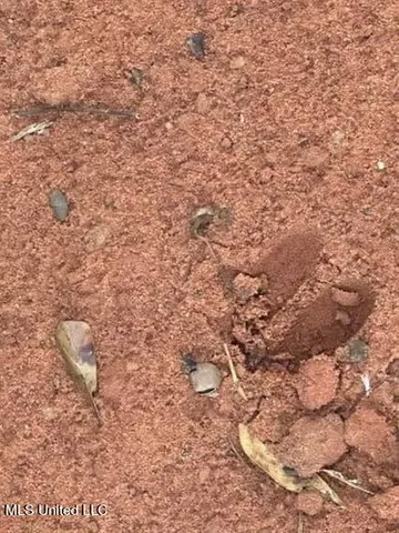 $50,000 | 7.88-acres Man Moulds Road, Lucedale, MS 39452