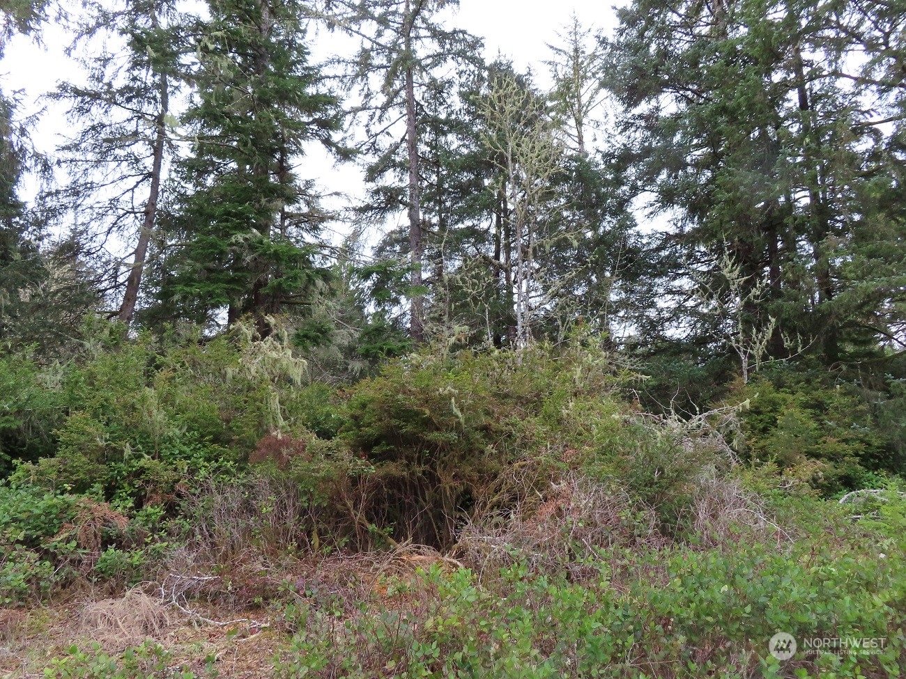 1 Sandridge Road Ocean Park, WA 98640 - Photo 16 of 26 Gallery Image 16