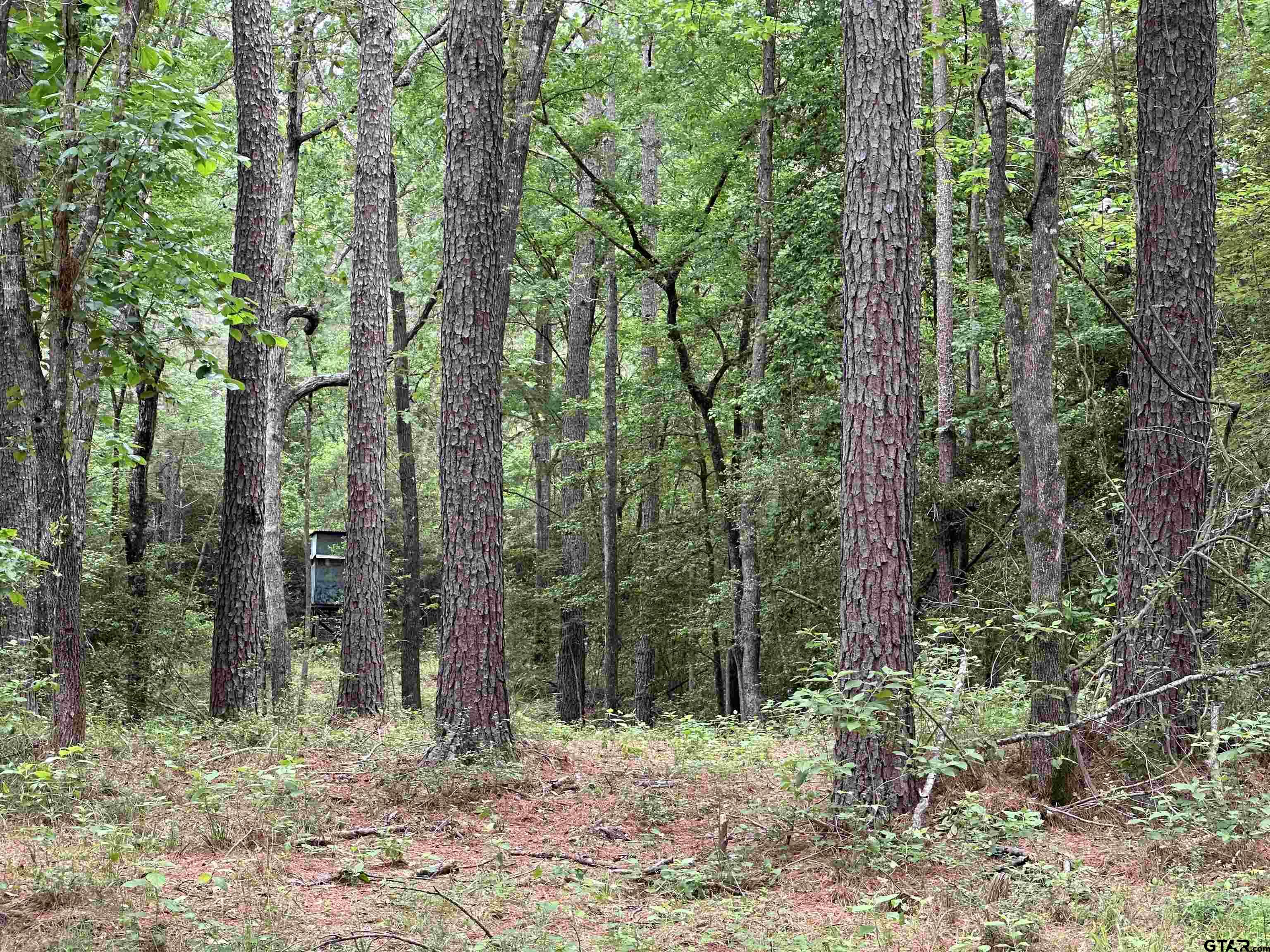 Tbd Sand Road Lufkin, TX 75904 - Photo 17 of 27