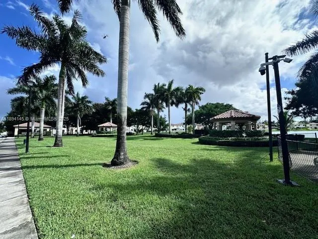 a park with lots of tall trees