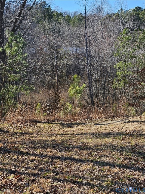 11489 Railroad Lane Ruther Glen, VA 22546 - Photo 6 of 9 Gallery Image 6