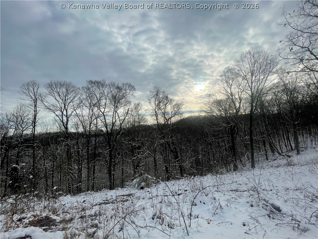 0 Grouse Ridge Sumerco, WV 25567 - Photo 8 of 17 Gallery Image 8