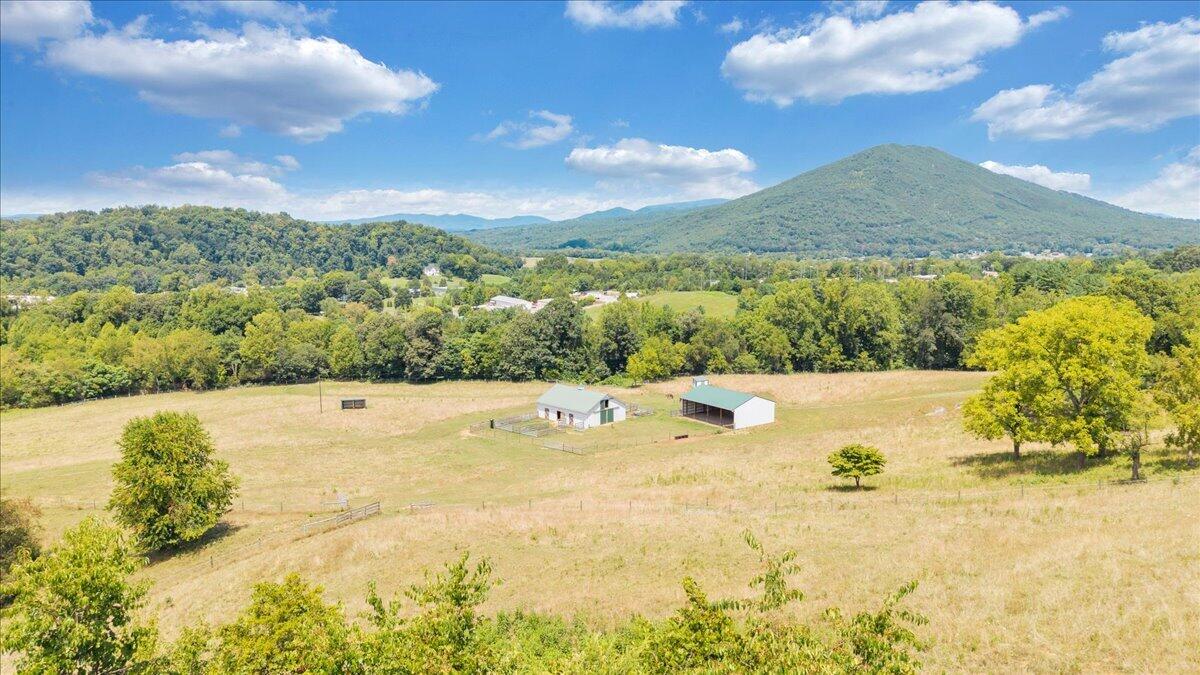 544 Pico Road Buchanan, VA 24066 - Photo 124 of 164 118-DJI_20260803084915_0043_D