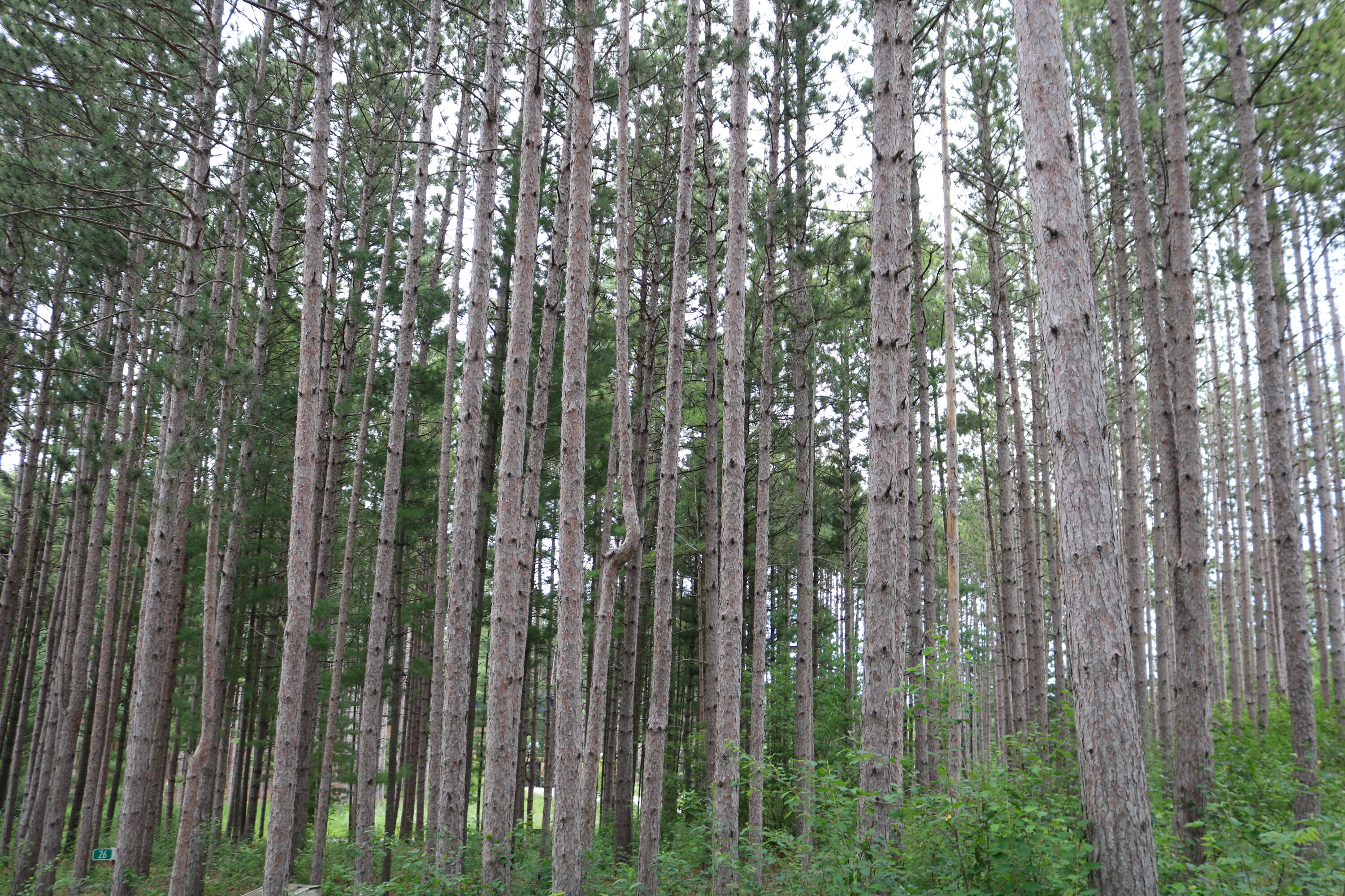 7855 Indian Lore Road, Unit 26 Farmington, WI 53090 - Photo 1 of 7 IMG_4181