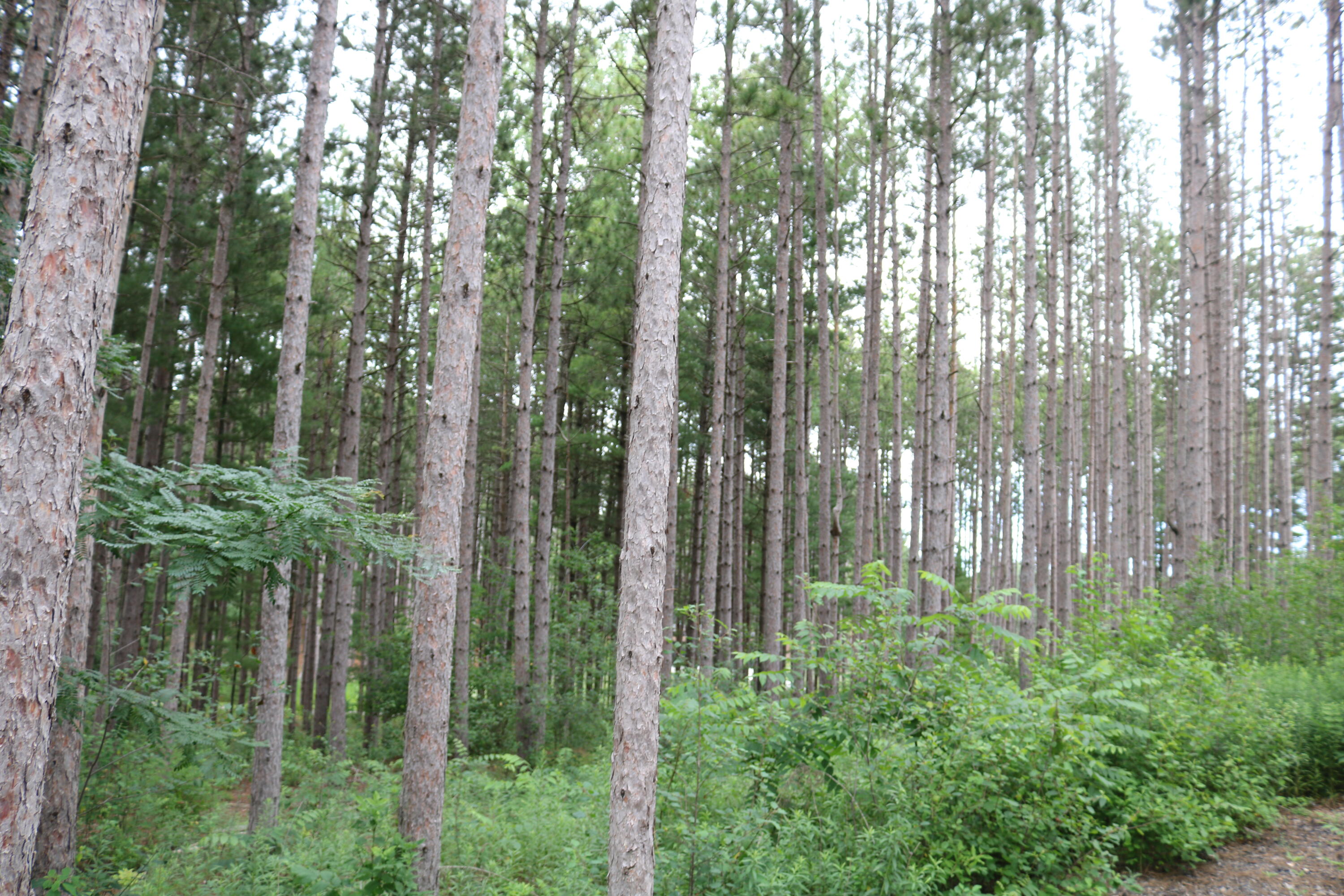 7855 Indian Lore Road, Unit 26 Farmington, WI 53090 - Photo 3 of 7 IMG_4180