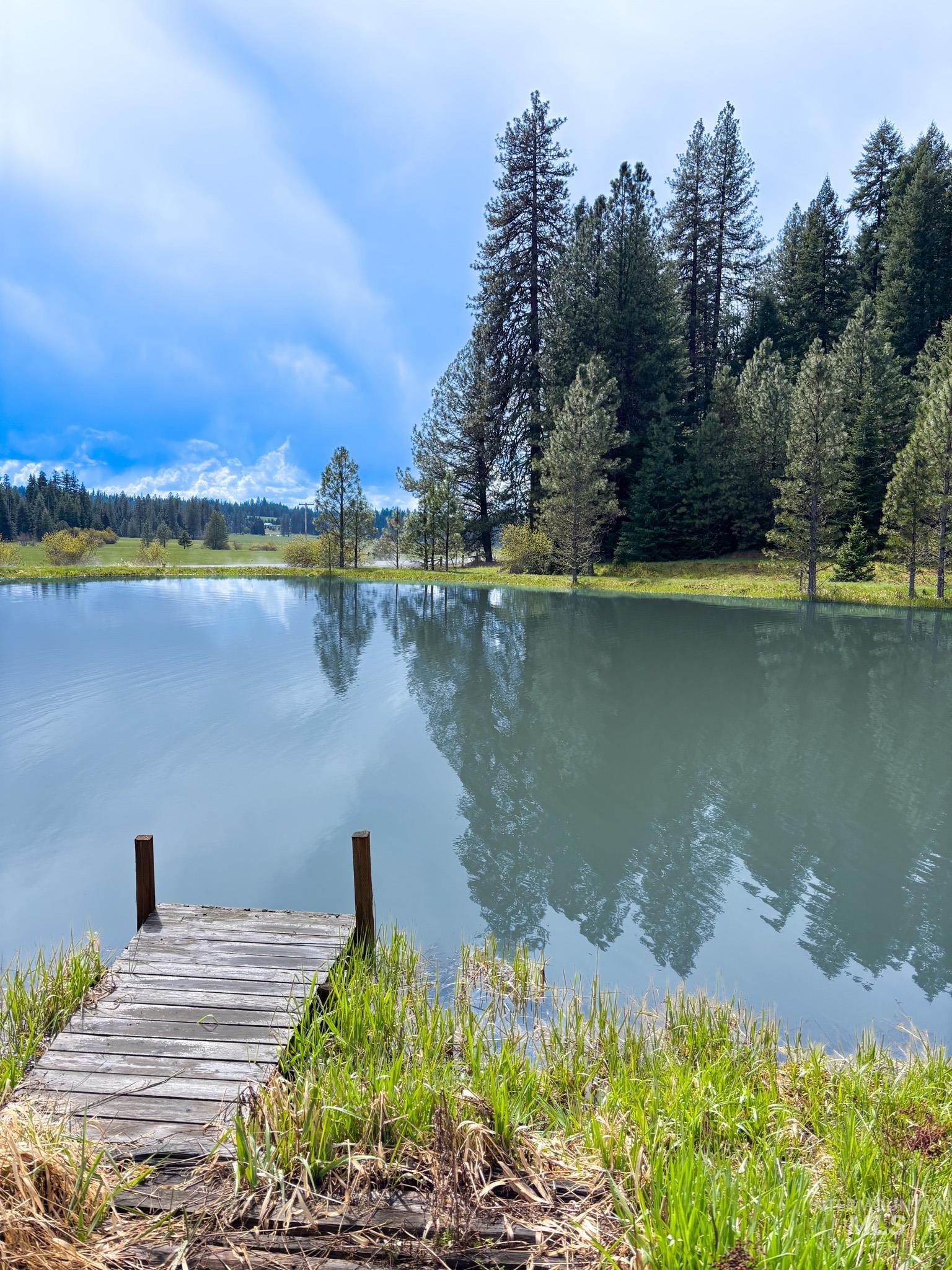 1995 Glenwood Road Kamiah, ID 83536 - Photo 29 of 38 Private pond with a wooden dock.