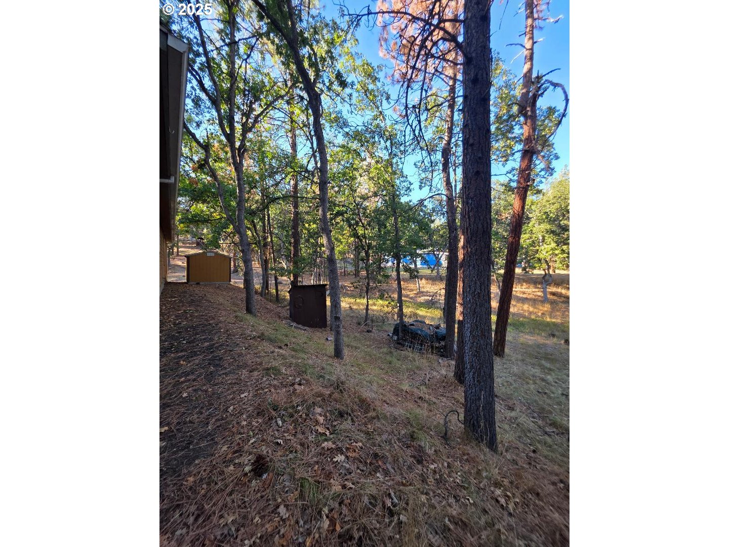 190 North Sentosa Lake Road Tygh Valley, OR 97063 - Photo 13 of 45 a backyard of a house with lots of green space