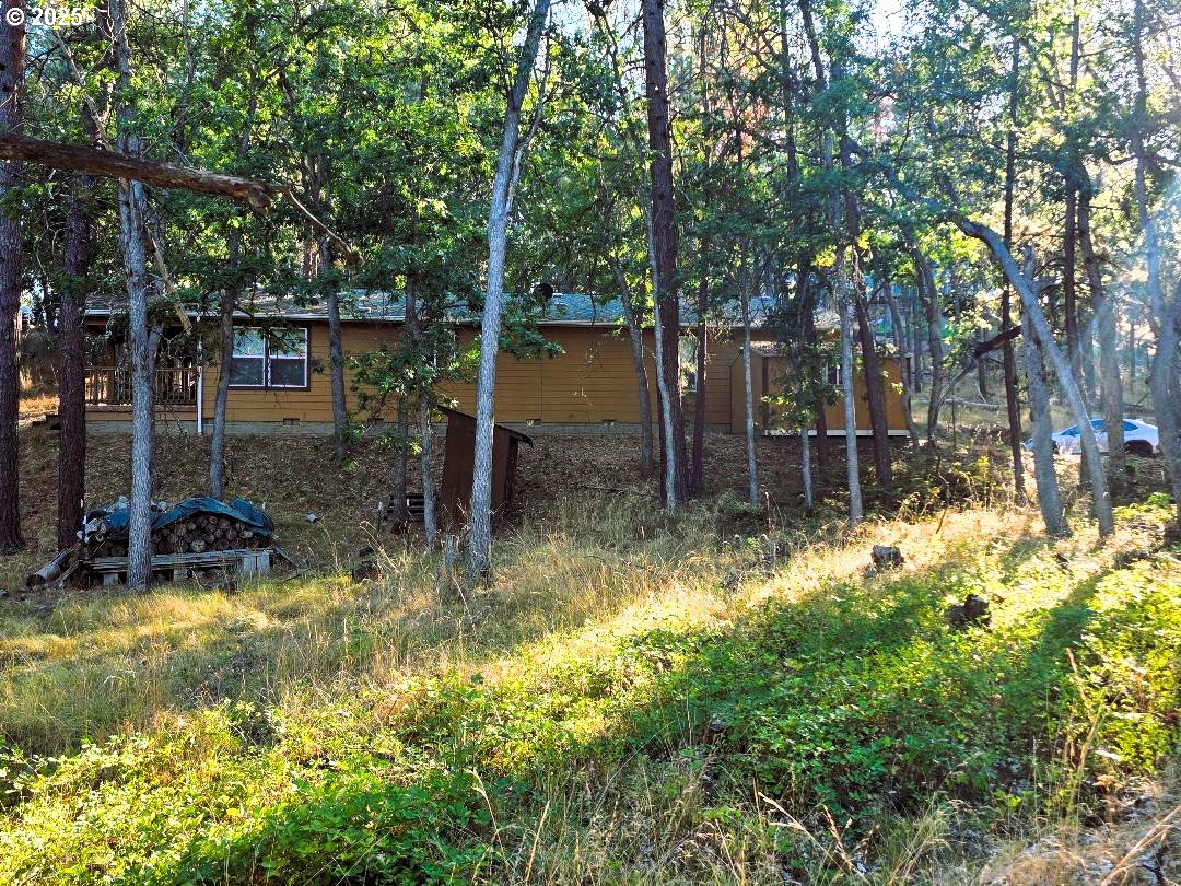 190 North Sentosa Lake Road Tygh Valley, OR 97063 - Photo 4 of 45 a view of backyard with tree