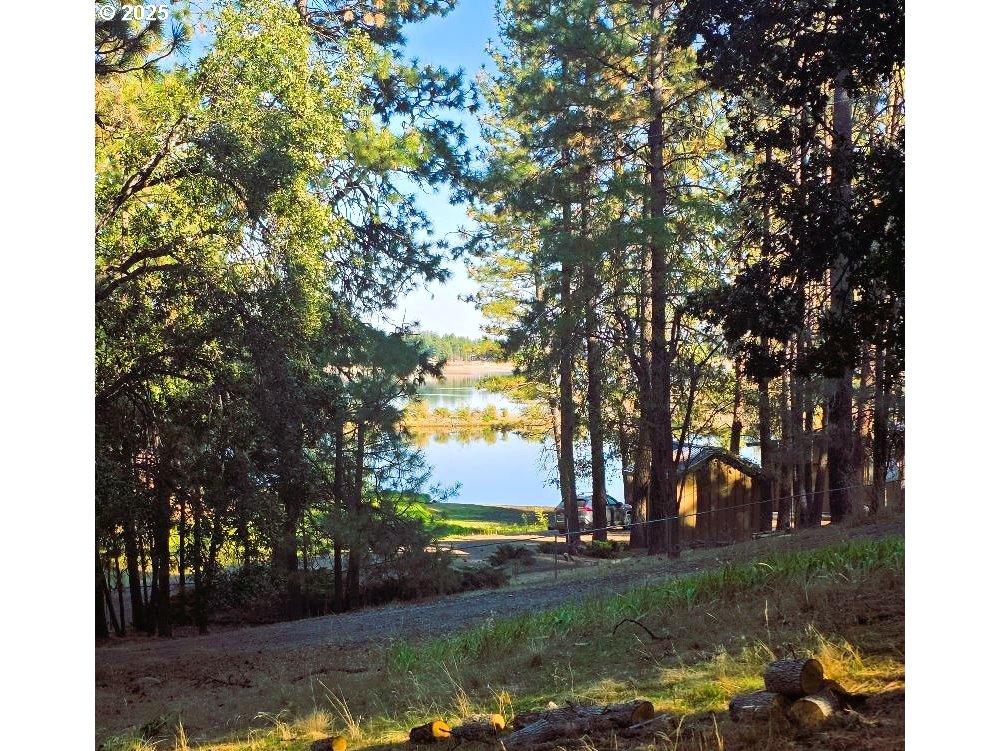 190 North Sentosa Lake Road Tygh Valley, OR 97063 - Photo 43 of 45 a view of a park with large trees
