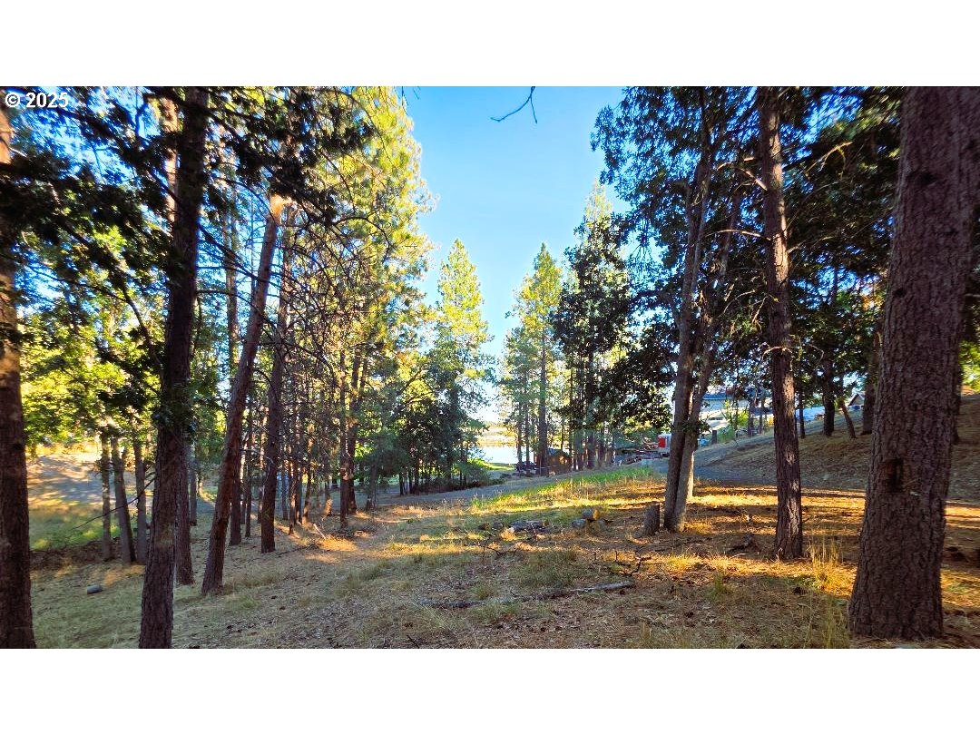 190 North Sentosa Lake Road Tygh Valley, OR 97063 - Photo 5 of 45 a black and white photo of a park