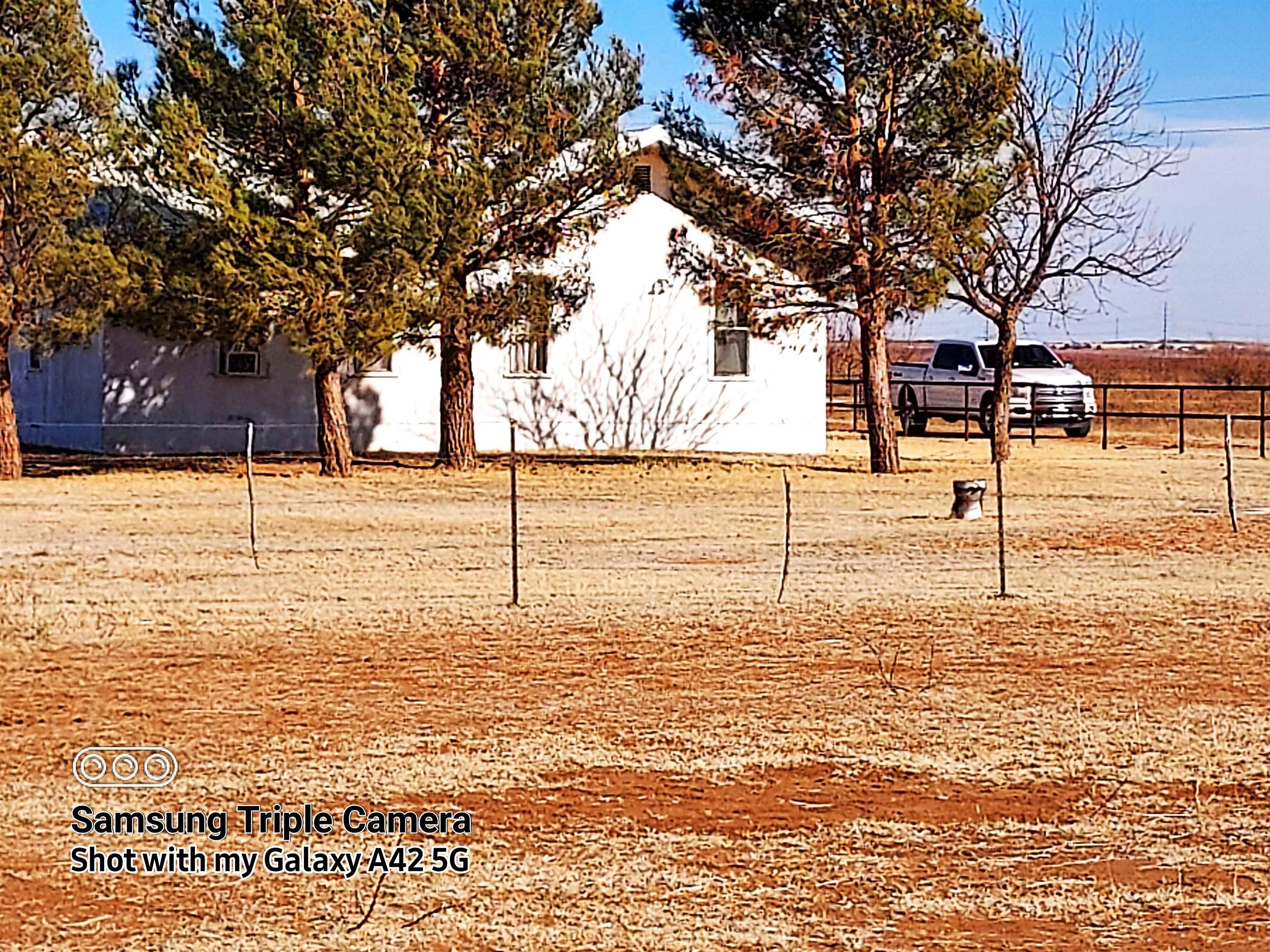 331 County Road 328 Rotan, TX 79546 - Photo 3 of 5 a street view with large trees