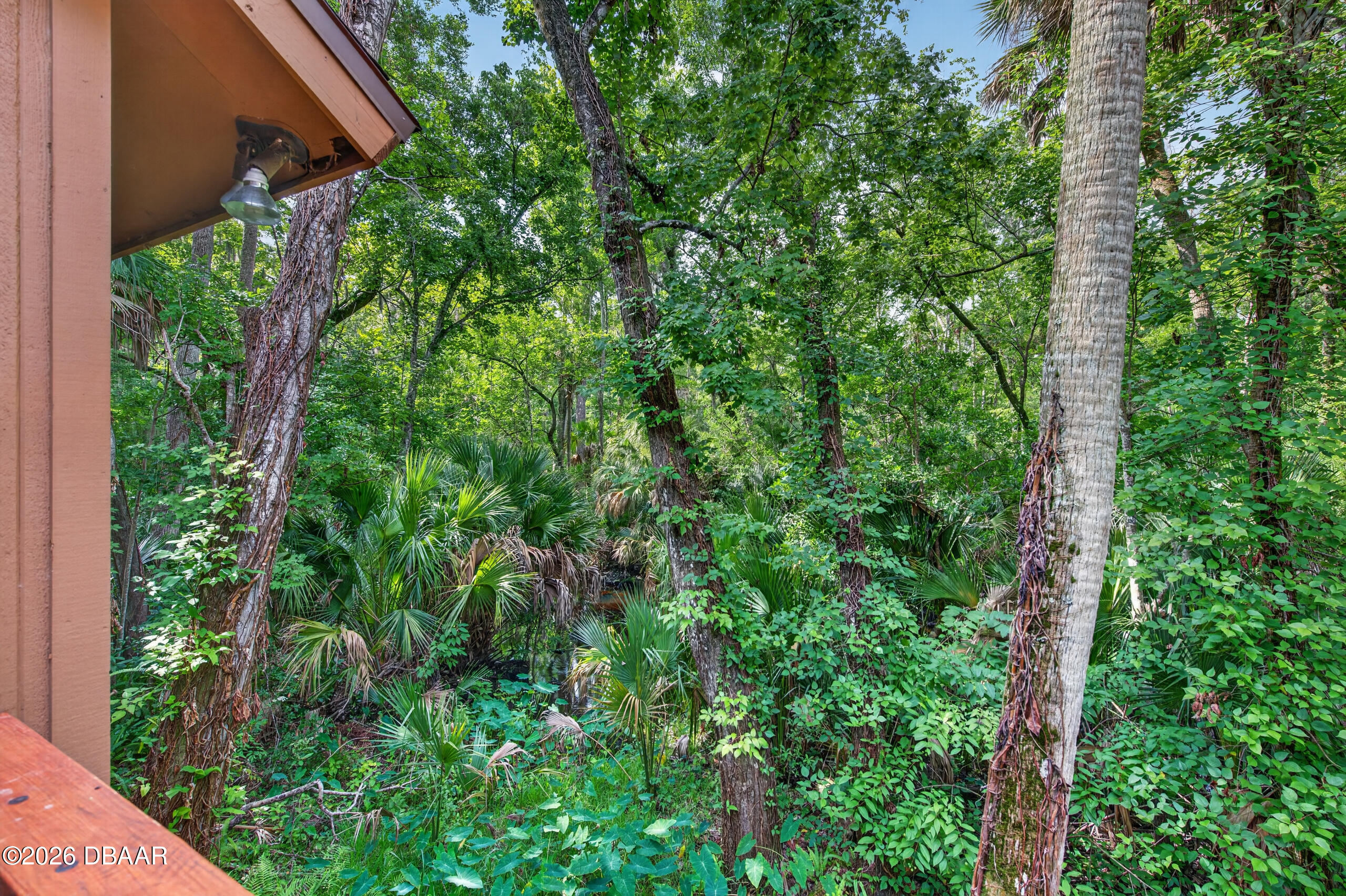 15 River Ridge Trail Ormond Beach, FL 32174 - Photo 38 of 51 D85_2784