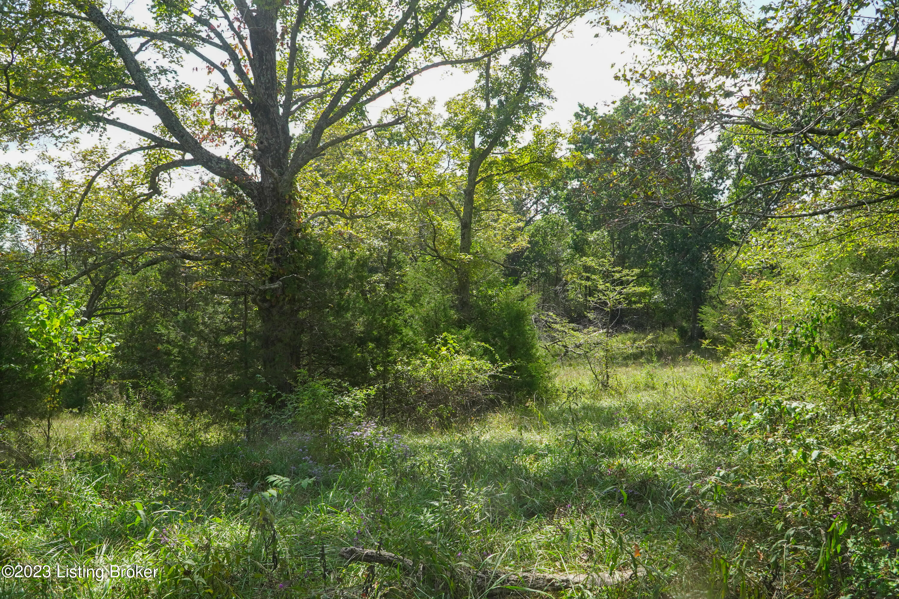 11015 Back Run Road Louisville, KY 40299 - Photo 11 of 14 DSC03154