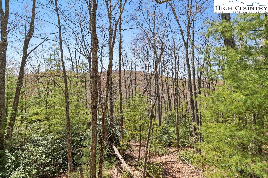 291 Dream Forest Path Banner Elk, NC 28604 - Photo 40 of 43 a view of forest