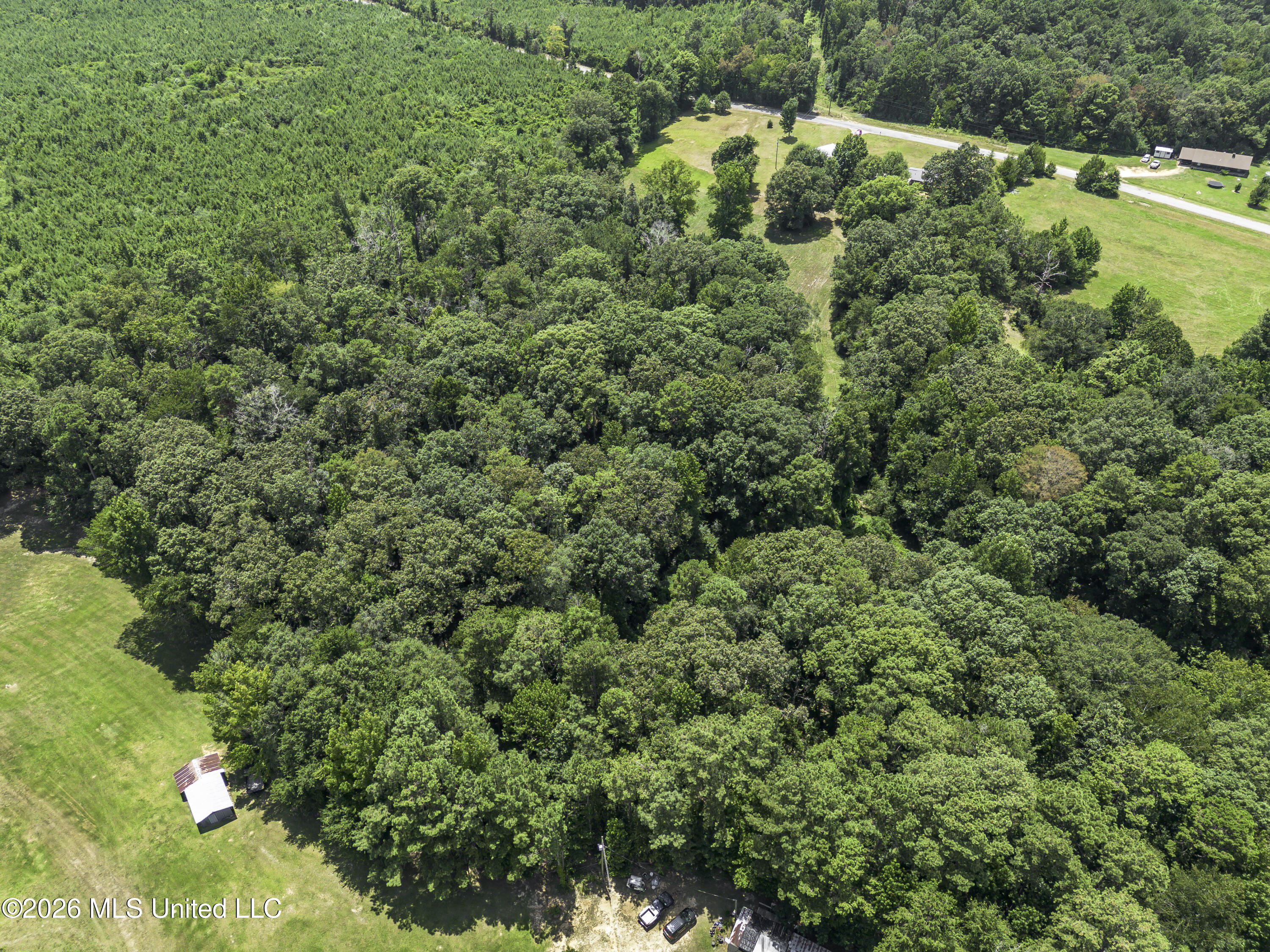 554 Wilson- Welch Road Mendenhall, MS 39114 - Photo 94 of 131 554 Wilson Welch Rd drone-0763