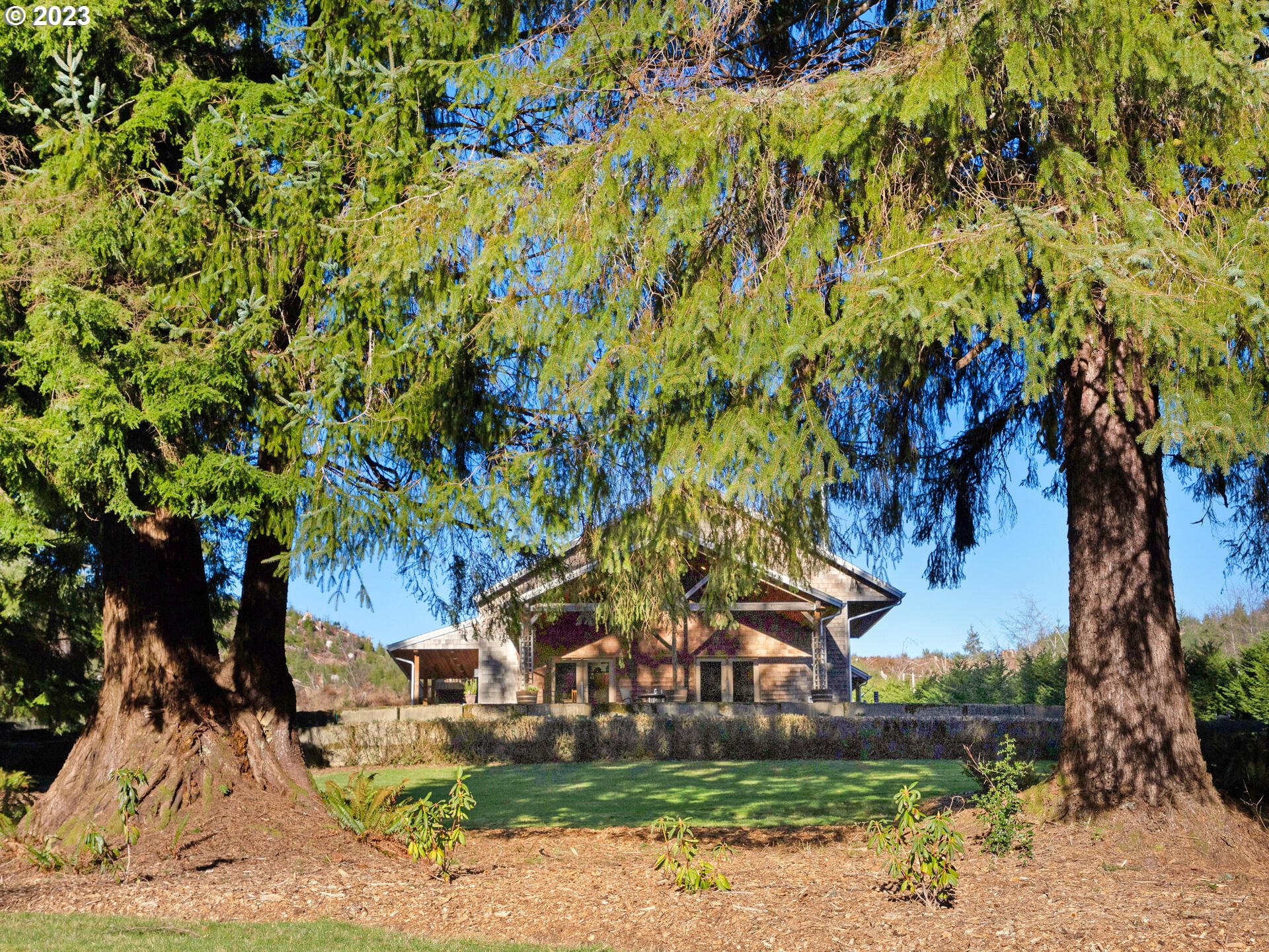 37769 Sunset Highway Seaside, OR 97138 - Photo 45 of 48 a view of a yard with plants and trees