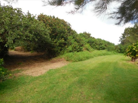 94-2058 South Point Road Naalehu, HI 96772 - Photo 2 of 25 Gallery Image 2