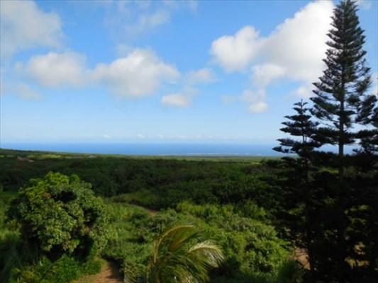 94-2058 South Point Road Naalehu, HI 96772 - Photo 24 of 25 Gallery Image 24