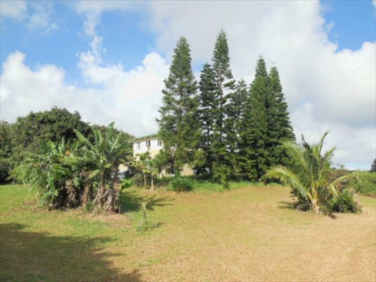 94-2058 South Point Road Naalehu, HI 96772 - Photo 4 of 25 Gallery Image 4