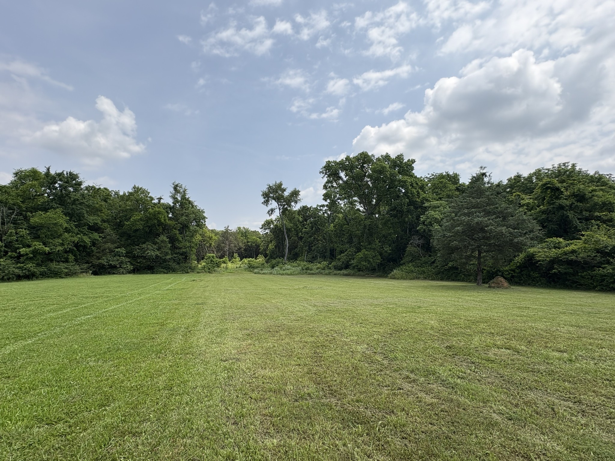 a view of an outdoor space and a yard