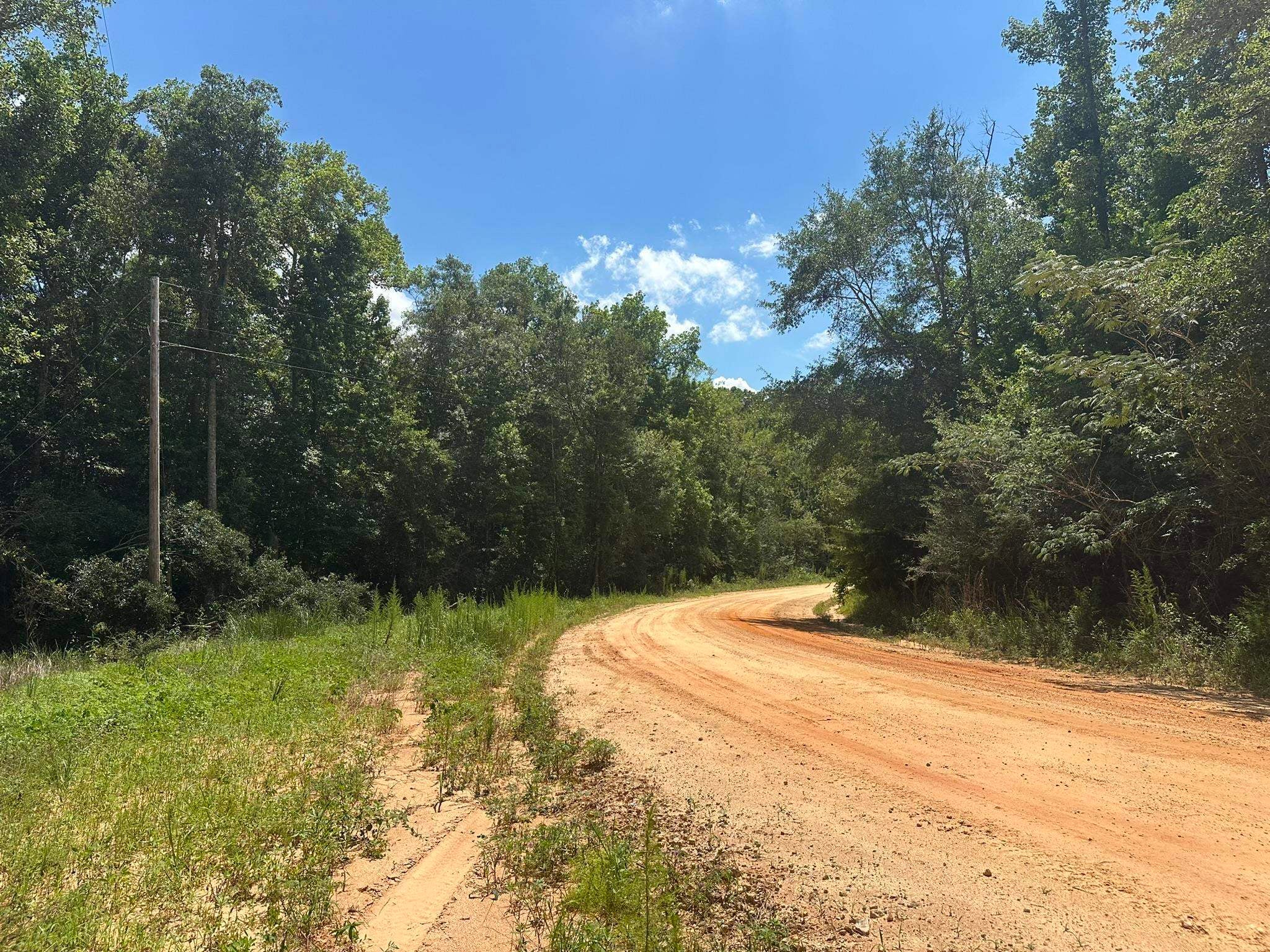 0 Piney Grove Road Opp, AL 36467 - Photo 5 of 20 Gallery Image 5