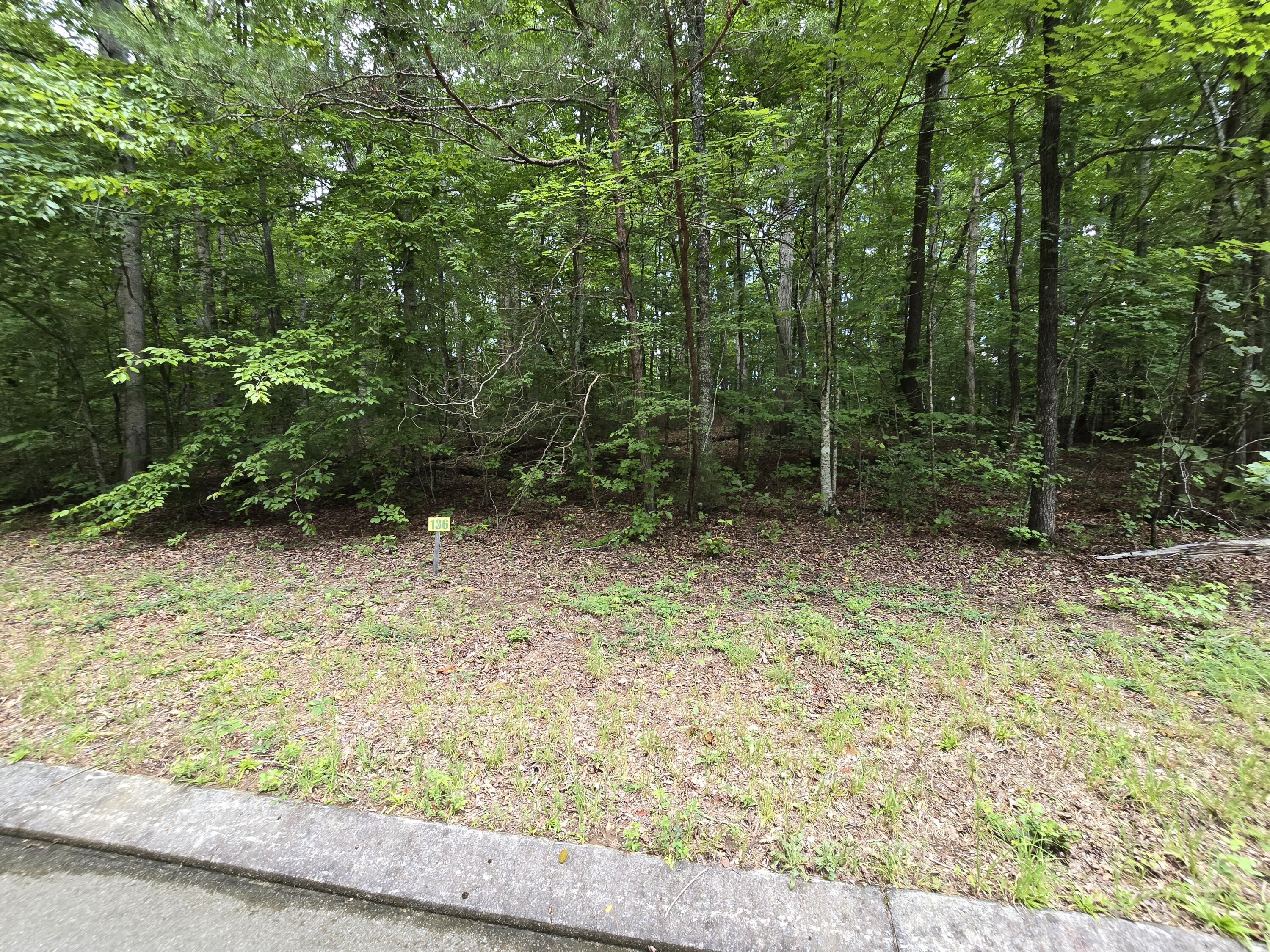 Lot 136 Lower Brow Road Dunlap, TN 37327 - Photo 2 of 8 20260716_154226
