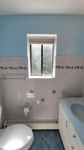 a bathroom with a sink toilet and window