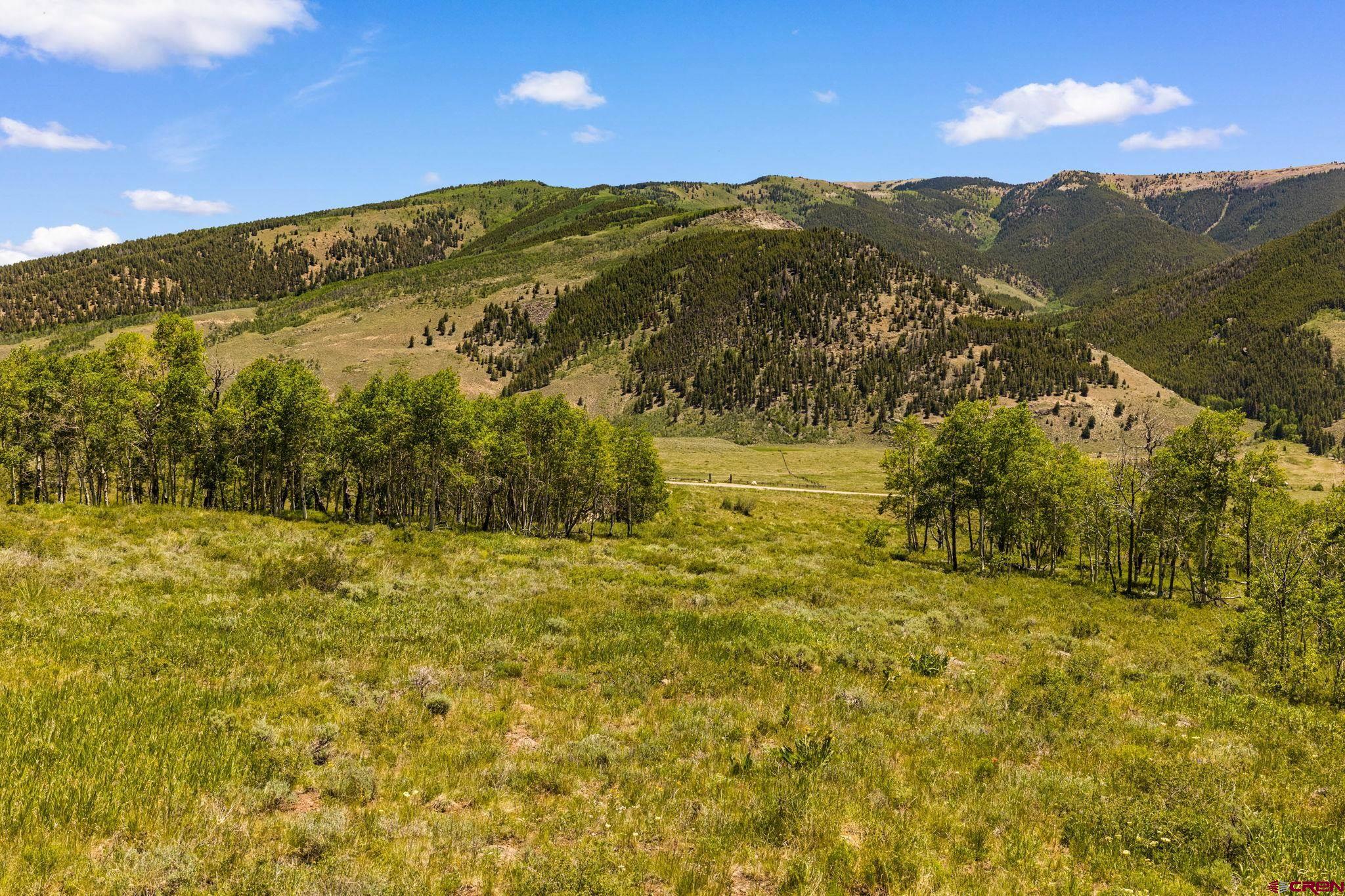 1175 Red Mountain Ranch Road Crested Butte, CO 81224 - Photo 19 of 24