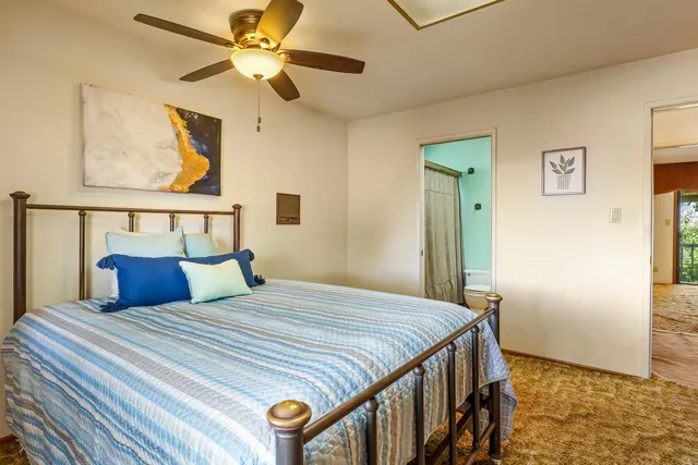 a view of a yard with plants and large trees