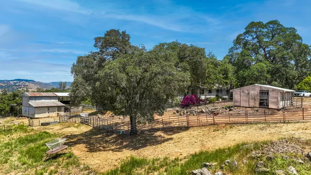 a kitchen with a sink and a window
