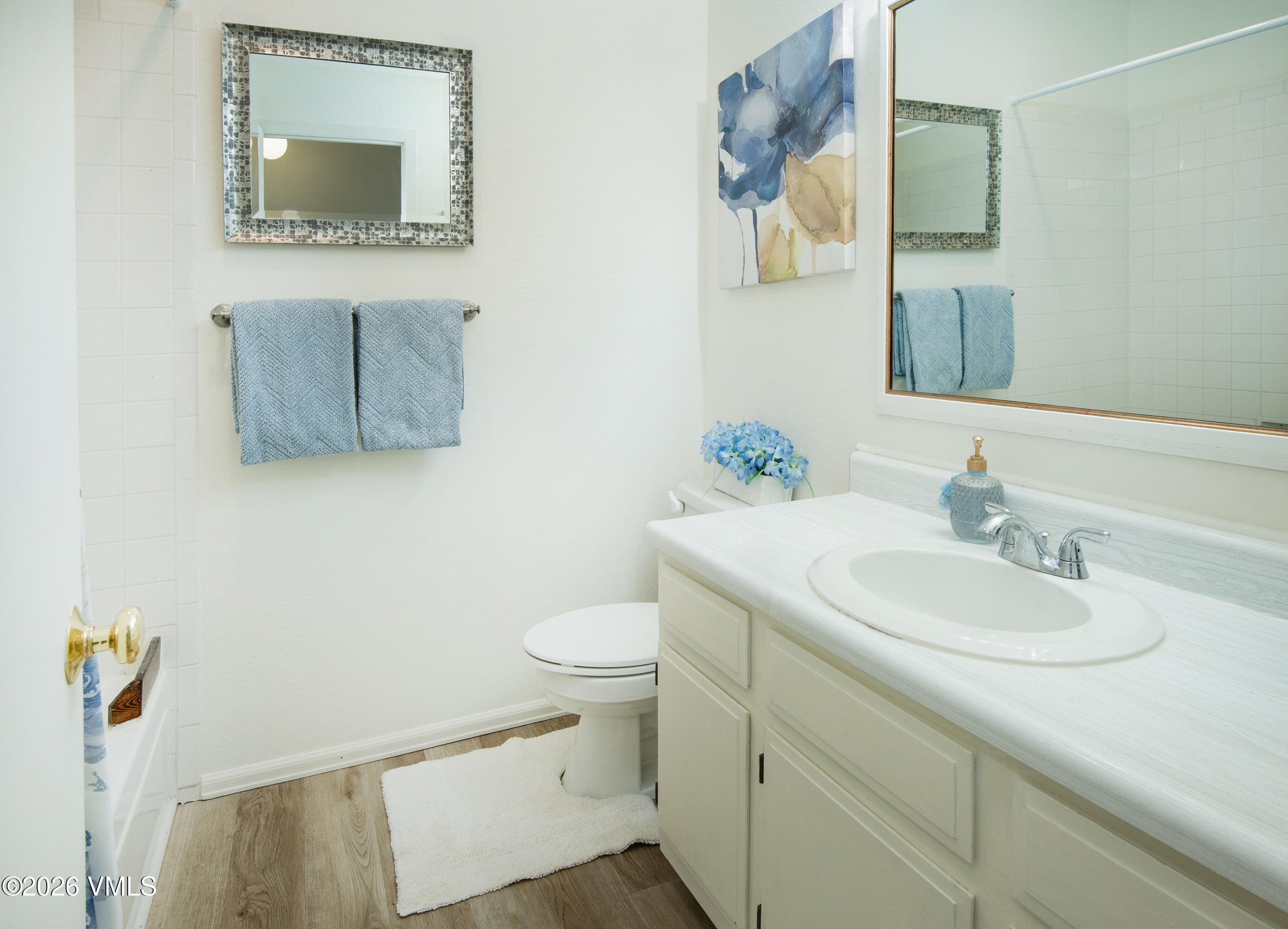 85 Chambers Avenue, Unit 10 Eagle, CO 81631 - Photo 16 of 41 a bathroom with a sink vanity mirror and toilet
