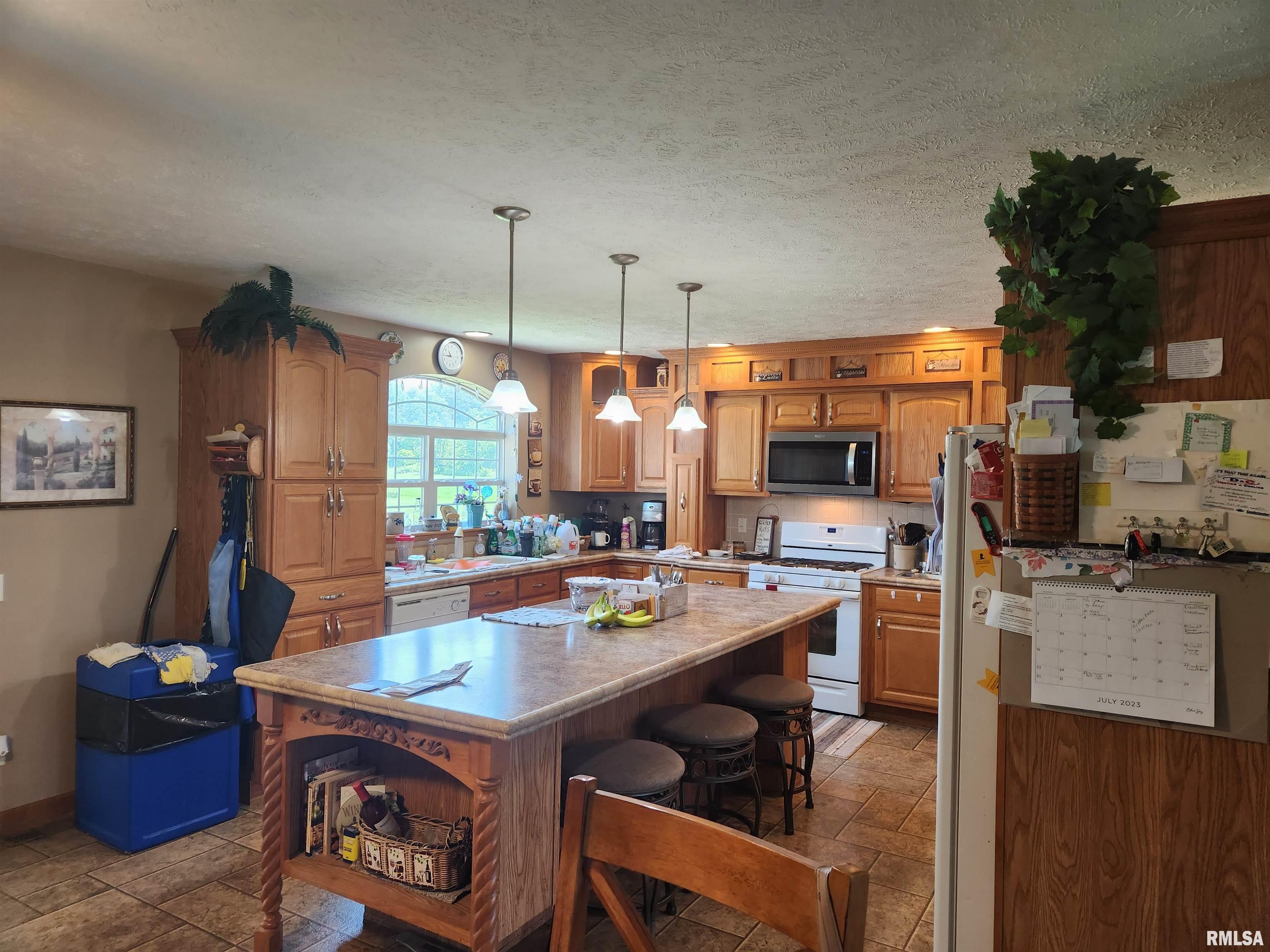 7969 Shamrock Road Tamaroa, IL 62888 - Photo 36 of 49