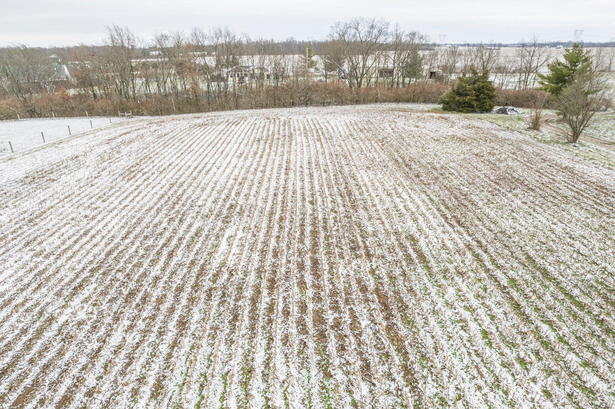 0 Cochran Road Williamsport, OH 43164 - Photo 9 of 15 09-9161CochranRd-9
