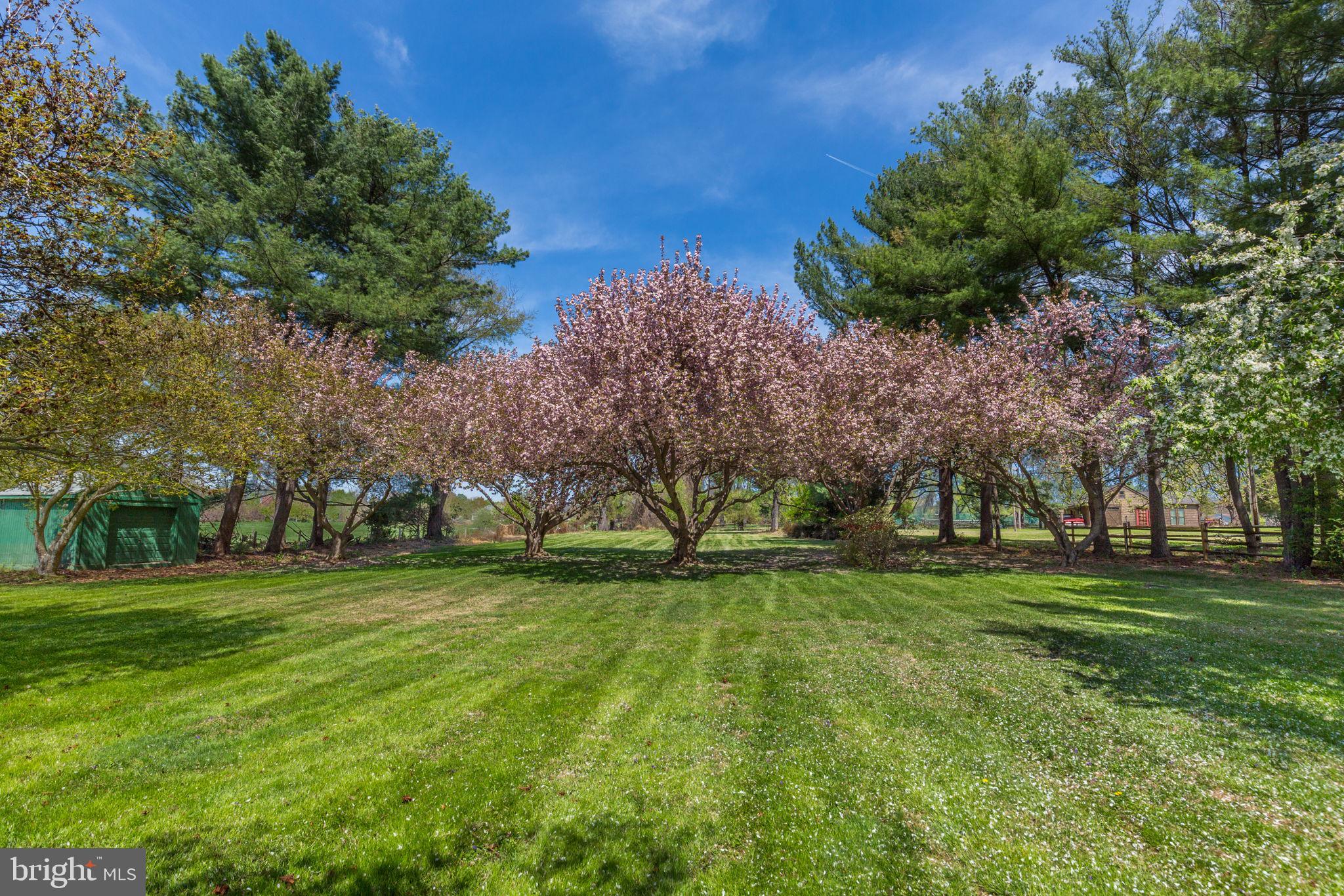 12710 Travilah Road Potomac, MD 20854 - Photo 58 of 59