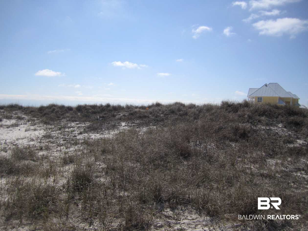 Brandt Lane Gulf Shores, AL 36542 - Photo 9 of 22 View of Lot