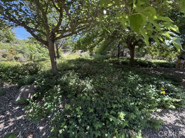 16756 Greenridge Road Hidden Valley Lake, CA 95467 - Photo 30 of 35